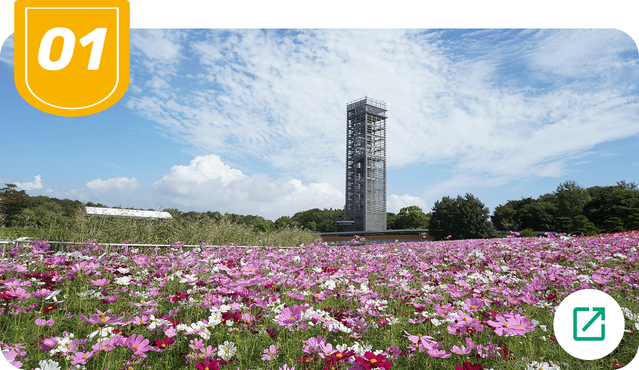 湖畔の緑を楽しむお手軽散策コース